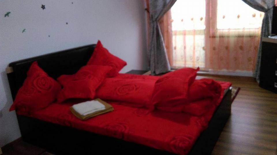 Vila Annemaryy Arbore ภายนอก รูปภาพ